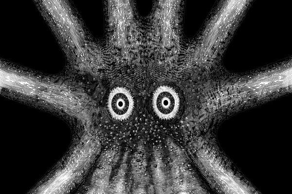 Kraken рабочее зеркало onion