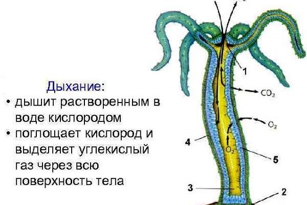 Кракен ссылка оригинал